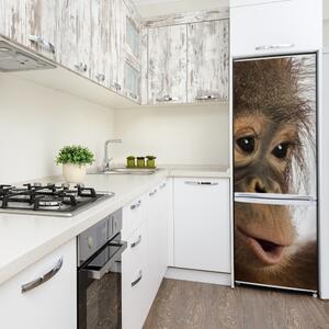 Nálepka fototapeta lednička Mladý orangutan FridgeStick-70x190-f-61570229