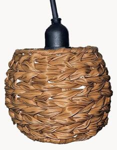 Solární lampa Pine Light