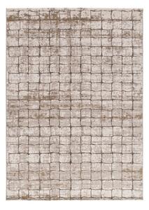 Šedobéžový koberec 80x120 cm Ceres – Universal