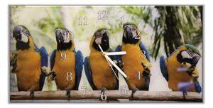 Nástěnné hodiny 30x60cm papoušek ara ararauna - kalené sklo