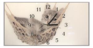 Nástěnné hodiny 30x60cm malá kočka v houpací síti - plexi