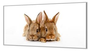 Ochranná deska dva roztomilí králici - 40x40cm / Bez lepení na zeď