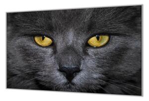 Ochranná deska detail obličeje černá kočka - 52x60cm / S lepením na zeď