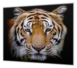 Ochranná deska hlava zlatý tygr černý podklad - 50x70cm / S lepením na zeď