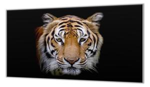 Ochranná deska hlava zlatý tygr černý podklad - 52x60cm / S lepením na zeď
