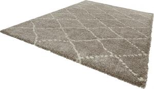 Kusový koberec Allure 102752 grau creme 80x150 cm