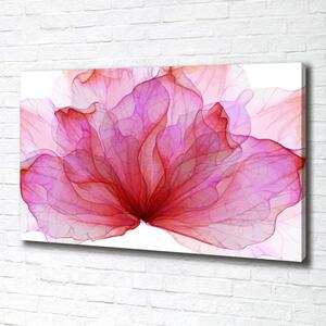 Foto obraz na plátně do obýváku Růžová květina pl-oc-100x70-f-98648030