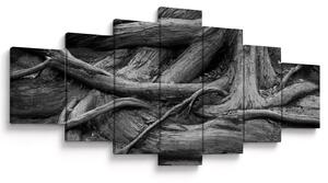 Obraz - Kořeny stromu (210x100 cm)