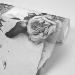 Fototapeta černobílé růže v rozkvětu