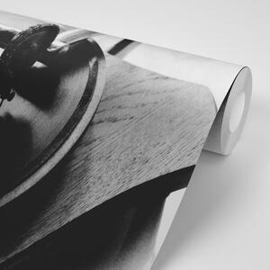 Fototapeta černobílý starožitný gramofon