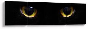 Obraz - Kočičí oči (170x50 cm)