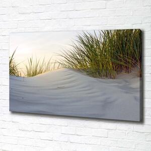Foto obraz canvas Mořské duny pl-oc-100x70-f-51837949