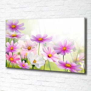 Foto obraz canvas Květiny na louce pl-oc-100x70-f-49015861