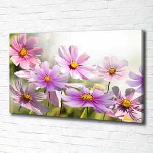 Foto obraz canvas Květiny na louce pl-oc-100x70-f-50039707