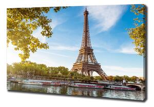 Foto obraz canvas Eiffelova věž Paříž pl-oc-100x70-f-44313077