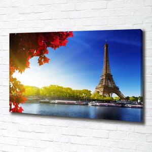 Foto obraz na plátně Eiffelova věž Paříž pl-oc-100x70-f-44409283