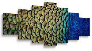 Obraz - Páví peří (210x100 cm)