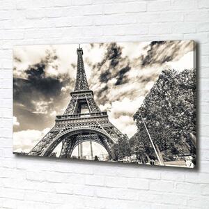Foto obraz na plátně Eiffelova věž Paříž pl-oc-100x70-f-57669652