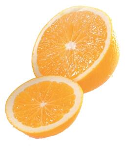 Lis na citrusy LEMON - GEFU