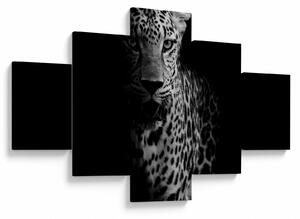 Obraz - Portrét leoparda (125x70 cm)