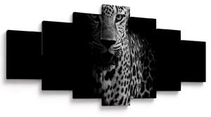 Obraz - Portrét leoparda (210x100 cm)