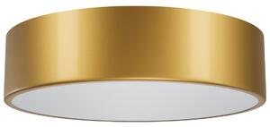 TEMAR Přisazené stropní LED osvětlení LED CLEO, 24W, denní bílá, 30cm, kulaté, zlaté