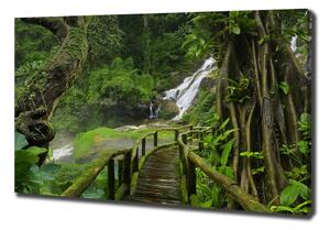 Foto obraz na plátně Vodopád v džungli pl-oc-100x70-f-120475287