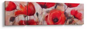 Obraz - Vlčí máky (170x50 cm)