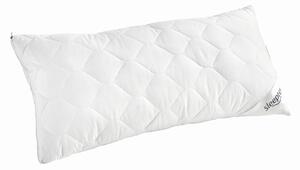 POLŠTÁŘ POD HLAVU, 40/80 cm Sleeptex - Polštáře pod hlavu
