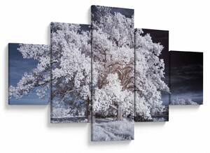 Obraz - Sněhobílý strom (125x70 cm)