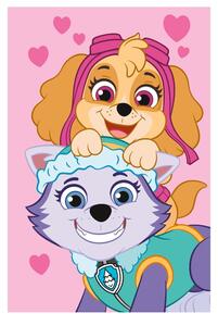 Fleecová dětská deka 100x150 cm Paw Patrol – Jerry Fabrics