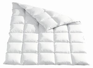 CELOROČNÍ PŘIKRÝVKA, 220/240 cm, kachní prachové peří, kachní peří Sleeptex - Přikrývky, Online Only