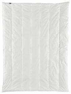 CELOROČNÍ PŘIKRÝVKA, 200/200 cm, polyester Centa-Star - Přikrývky, Online Only