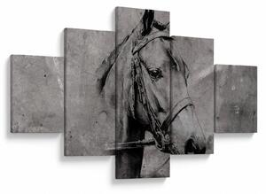 Obraz - Portrét koně (125x70 cm)