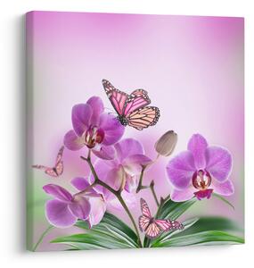 Obraz - Motýl na květech orchideje, lila (30x30 cm)