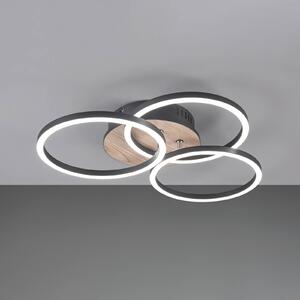 LED stropní světlo Circle 3 zdroje ovladač dřevo