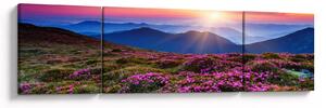 Obraz - Horská rozkvetlá krajina (170x50 cm)