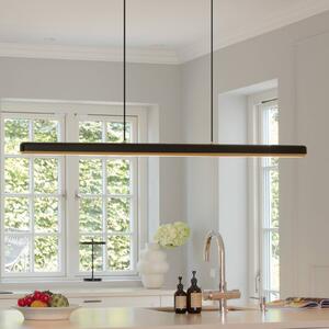 Závěsná lampa LED UMAGE Hazel Branch, černá/mosaz, 150 cm