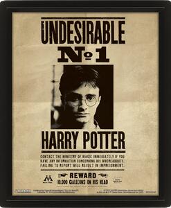 Zarámovaný 3D obraz Harry Potter - Sirius