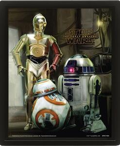 Zarámovaný 3D obraz Star Wars - Droids