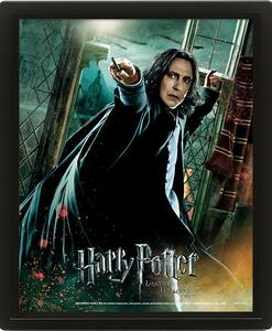 Zarámovaný 3D obraz Harry Potter - Snape
