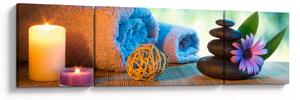 Obraz - Relaxační masérský obraz (170x50 cm)