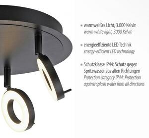 PAUL NEUHAUS LED stropní bodové svítidlo antracit, kruhové, 3 ramenné, otočné, ochrana proti vodě 3000K