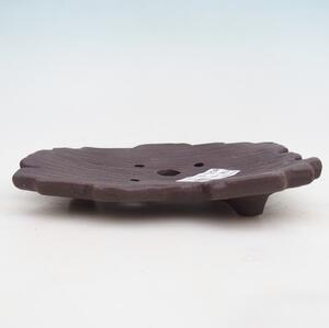 E-bonsai Keramická Skořápka 16 x 12 x 3 cm hnědá