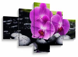 Obraz - Orchideje (125x70 cm)