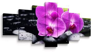 Obraz - Orchideje (210x100 cm)