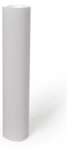 A.S. Création | THERMO přetíratelná vliesová tapeta na zeď Meistervlies 7 Create 39385-1 | 0,53 x 10,05 m | bílá přetíratelná, bílá, šedá