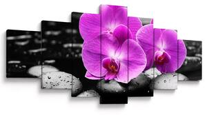 Obraz - Fialové orchideje (210x100 cm)