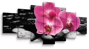 Obraz - Růžové orchideje (210x100 cm)