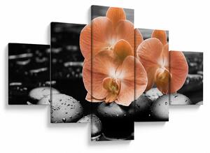 Obraz - Oranžové orchideje (125x70 cm)